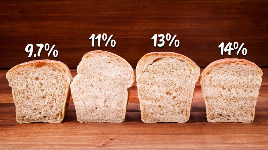 How Flour Protein Content Affects Bread Dough ChainBaker