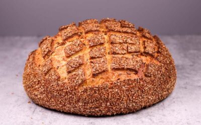 Captain's log, supplemental: No-Knead Loaf Pan Bread – Blue Kitchen